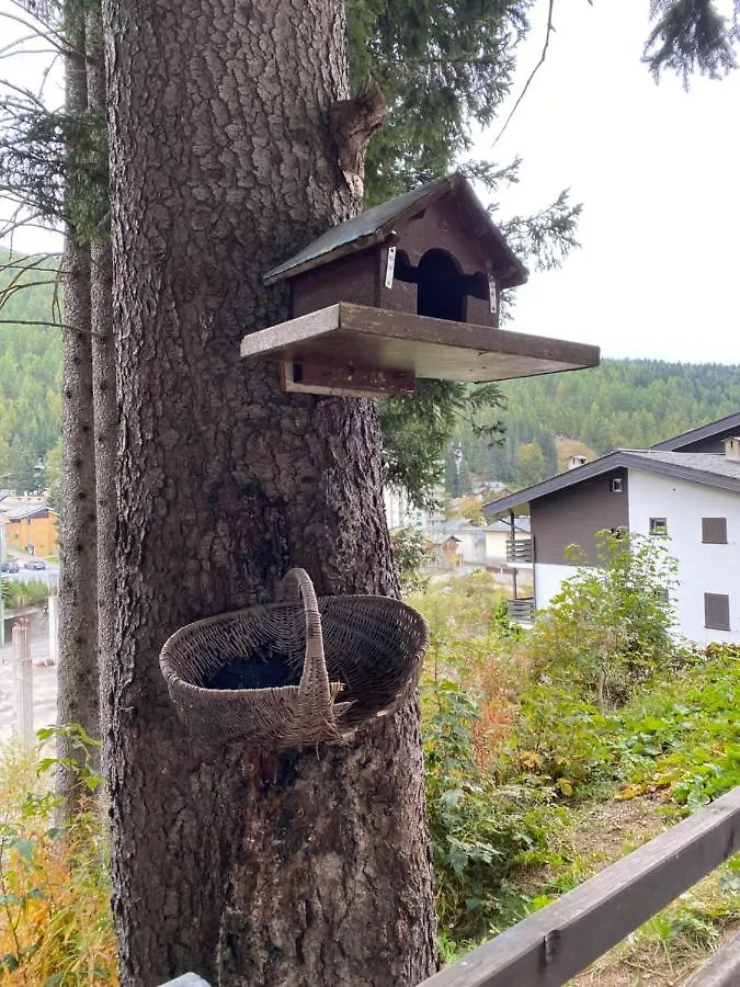 Suite Neve Madesimo Apartmán
